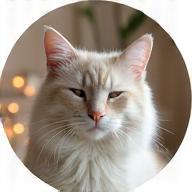 Chat relaxé, pelage doux après un soin spa